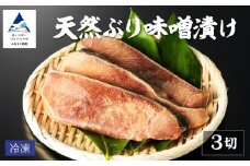 天然ブリ味噌漬け 3切れ 要冷凍 鰤 ぶり 小松市 石川県 【株式会社竹本商店】