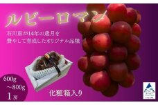 ルビーロマン ぶどう 葡萄 大粒 1房 600g～800g 贈答品【JA小松市】石川県 小松市