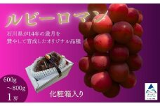 ルビーロマン ぶどう 葡萄 大粒 1房 600g～800g 贈答品【JA小松市】石川県 小松市