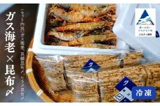 ガス海老・昆布〆詰合せ えび エビ こんぶ コンブ 詰め合わせ 小松市 石川県 【株式会社竹本商店】