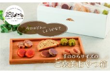 焼き菓子セット