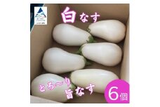 【季節限定】のうちゃんファームの白なす