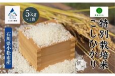 コシヒカリ 5kg 特別栽培米 令和7年産 こしひかり 精米 新米 コメ お米 こめ 石川県 小松市 【農家ふじた】