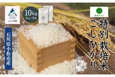 コシヒカリ 10kg 特別栽培米 令和7年産 こしひかり 精米 (5kg ×2袋) コメ お米 石川県 小松市【農家ふじた】