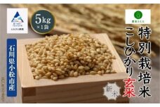 コシヒカリ 玄米 5kg 特別栽培米 令和7年産 新米 こしひかり コメ お米 石川県産 小松市産 【農家ふじた】