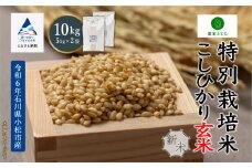 コシヒカリ 玄米 10kg 特別栽培米 令和7年産 新米 こしひかり ( 5kg ×2袋 ) コメ お米 石川県産 小松市産 【農家ふじた】