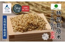 【定期便】コシヒカリ 5kg × 3回 令和7年産 特別栽培米 こしひかり 玄米（毎月） コメ お米 3ヵ月 3ヶ月 3か月 石川県 小松市【農家ふじた】