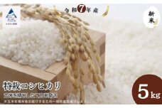 特栽コシヒカリ玄米5㎏ 精米したて発送