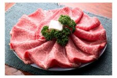 特選幻のブランド和牛【能登牛】モモ肉（しゃぶしゃぶ・すき焼き用）500ｇ