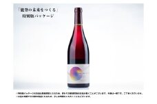 【数量限定　能登の未来をつくるプロジェクト特別パッケージ版】禅の里わいん（赤ワイン、フルボトル750ml）