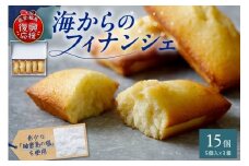 輪島 海からのフィナンシェ 5ヶ入×3箱セット