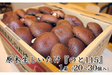 [№5984-0002]原木生しいたけ「のと115」1箱（20～30個入）