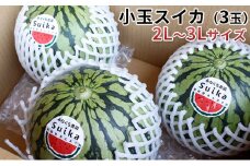 [№5984-0016]【在庫数限定】小玉スイカ（3玉）1玉約1.8kg～2.8kg 果物類