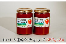 [№5984-0041]おいしさ濃縮ケチャップ 350g×2個