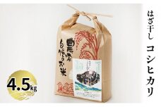 [№5984-0062]はざ干しコシヒカリ
