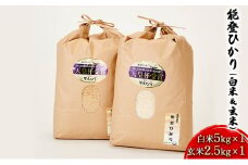 [№5984-0065]【令和6年度産米】能登ひかり（白米＆玄米）白米5kg×1 玄米2.5kg×1