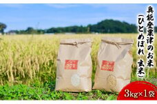 [№5984-0090]奥能登粟津のお米（ひとめぼれ　玄米）3kg×1袋