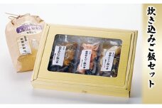 [№5984-0096]炊き込みご飯セット