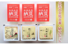 [№5984-0111]大浜大豆地豆腐・納豆セット