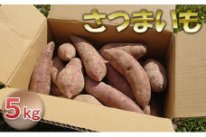 [№5984-0121]さつまいも  5kg