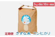 [№5984-0240]きずな米 コシヒカリ3kg×6回 定期便〈10月～翌年3月発送〉