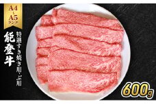 [№5984-0333]能登牛（A4～A5）特選すき焼き用600g 牛肉 牛