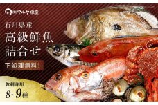 旬の鮮魚詰合せ 8～9種 下処理済み 旬 獲れたて 鮮魚 刺身用 詰合せ セット 海産物 海の幸 魚 魚介 おかず おつまみ 肴 国産 食品 復興 震災 コロナ 能登半島地震復興支援 北陸新幹線 F6P-0039 クラウドファンディング 実施中 GCF