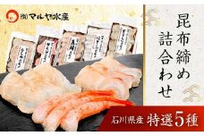昆布締め詰合せ おまかせ5種 無添加 昆布締め 刺身 おまかせ セット 詰合せ 真空包装 おつまみ 肴 海産物 海の幸 魚介 国産 食品 復興 震災 コロナ 能登半島地震復興支援 北陸新幹線 F6P-0562 クラウドファンディング 実施中 GCF