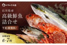 旬の鮮魚詰合せ 6～7種 下処理済み 旬 獲れたて 鮮魚 刺身用 詰合せ セット 海産物 海の幸 魚 魚介 おかず おつまみ 肴 国産 食品 復興 震災 コロナ 能登半島地震復興支援 北陸新幹線 F6P-0564 クラウドファンディング 実施中 GCF