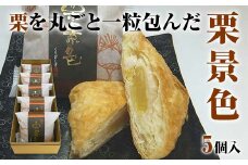 栗景色 5個入 銘菓 パイ 栗 菓子 生菓子 お菓子 お茶菓子 お茶請け  グルメ 国産 日本製 食品 復興 震災 コロナ 能登半島地震復興支援 北陸新幹線 F6P-2392 クラウドファンディング 実施中 GCF