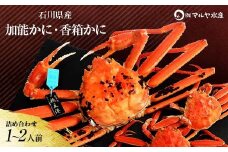 産地直送  加能かに 1匹＋香箱かに 2匹 詰合せ 1～2人前 食べ比べ セット ズワイガニ ずわいがに 産地証明 先行予約 予約 ブランド蟹 ボイル 茹で 蟹 かに 復興 震災 コロナ 能登半島地震復興支援 北陸新幹線 F6P-0695 クラウドファンディング 実施中 GCF