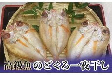 高級魚のどぐろ一夜干し 約120g～150g ×3 一夜干し あかむつ類 のどぐろ ノドグロ 魚  グルメ 海産物 海の幸 干物 おつまみ 肴 食品 復興 震災 コロナ 能登半島地震復興支援 北陸新幹線 F6P-2384 クラウドファンディング 実施中 GCF