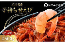 子持ち甘えび お刺身用 500g 30～40匹 産地直送 子持ち 甘えび 甘エビ 獲れたて 海老 エビ えび 刺身海産物 肴 国産 食品 復興 震災 コロナ 能登半島地震復興支援 北陸新幹線 F6P-0971 クラウドファンディング 実施中 GCF