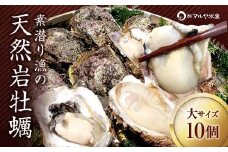石川県・加賀市 岩牡蠣 岩かき ( 天然 殻付き 生食用 ) 大サイズ 10個 復興　震災　コロナ【能登半島地震復興支援】 北陸新幹線 F6P-0972 クラウドファンディング 実施中 GCF