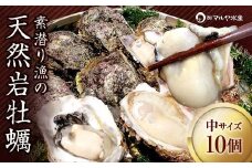石川県・加賀市 岩牡蠣 岩かき ( 天然 殻付き 生食用 ) 中サイズ 10個 復興　震災　コロナ【能登半島地震復興支援】 北陸新幹線 F6P-0973 クラウドファンディング 実施中 GCF