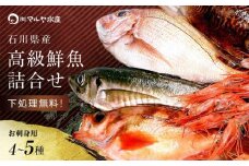 石川県・加賀市 旬の鮮魚 ( 刺身用/下処理済 ) 詰合せ 4～5種 復興　震災　コロナ【能登半島地震復興支援】 北陸新幹線 F6P-0974 クラウドファンディング 実施中 GCF