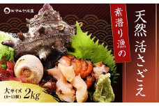 【先行予約】石川県・加賀市 活さざえ ( 天然 生食用 ) 大サイズ 2kg 8～13個 詰合せ（2025年7月上旬〜2025年8月中旬頃発送） F6P-0993 クラウドファンディング 実施中 GCF