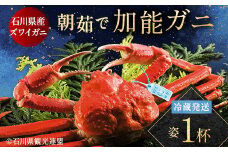 【先行予約】【冷蔵発送】 朝茹で 加能ガニ 姿1杯 2025年11月上旬以降発送 カニ 朝ゆで 加能蟹 かのうがに 姿 ボイル 蟹 ズワイガニのオス 冷蔵発送 贈り物 ギフト ご当地 グルメ 海の幸 海産物 食品 F6P-2483 クラウドファンディング 実施中 GCF