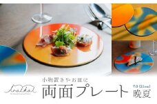 iroikoi 7.0 21cm 両面プレート 晩夏 プレート 皿 小物置き ディスプレー 食器 両面使用 インテリア ABS樹脂 日本製 雑貨 F6P-1326 クラウドファンディング 実施中 GCF