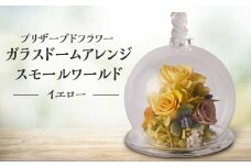 プリザーブドフラワー ガラスドームアレンジ スモールワールド イエロー 枯れない花 花 フラワー アレンジメント 飾り インテリア 結婚祝い 誕生日 復興 震災 コロナ 能登半島地震復興支援 北陸新幹線 F6P-1366
 クラウドファンディング 実施中 GCF
