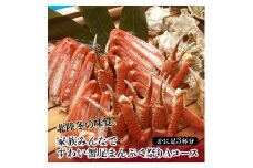 北陸冬の味覚 ずわい蟹まんぷく祭りAコース かに3杯分 冷凍 ズワイガニ ずわい蟹 ずわいがに 蟹 かに カニ 鍋 BBQ バーベキュー グルメ 海産物 海の幸 食品 復興 震災 コロナ 能登半島地震復興支援 北陸新幹線 F6P-1564 クラウドファンディング 実施中 GCF