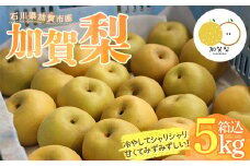 【先行予約】石川県加賀市産 加賀梨(幸水) 箱込5kg (2024年8月中旬以降順次発送) なし ナシ 梨 フルーツ 果物 F6P-1610 クラウドファンディング 実施中 GCF