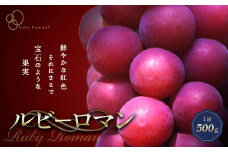 【先行予約】ルビーロマン 1房 500g（令和7年8月中旬～9月上旬頃順次発送） ぶどう ブドウ 大粒 先行予約 予約 冷蔵配送 くだもの 果物 フルーツ ご当地 食品 F6P-2104 クラウドファンディング 実施中 GCF