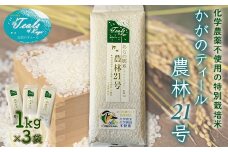 化学農薬不使用 特別栽培米 かがのティール 農林21号 精米 各1kg×3袋 お米 米 ギフト 贈り物  グルメ 食品 復興 震災 コロナ 能登半島地震復興支援 北陸新幹線 F6P-2227 クラウドファンディング 実施中 GCF