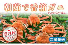【先行予約】【冷蔵発送】 朝茹で香箱ガニ メスのズワイガニ 姿5杯セット 2025年11月上旬以降発送 朝茹で カニ かに 蟹 姿 香箱蟹 香箱がに こうばこがに 茹で ボイル 先行予約 予約 冷蔵発送 ギフト グルメ 海の幸 海産物 食品 F6P-2177 クラウドファンディング 実施中 GCF