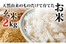 天然由来のものだけで育てたお米 2kg 玄米 お米 米 国産米 ギフト 贈り物  グルメ 食品 国産 復興 震災 コロナ 能登半島地震復興支援 北陸新幹線 F6P-1806 クラウドファンディング 実施中 GCF