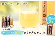 オリジナルジュース　500ml×2本 F6P-1812 クラウドファンディング 実施中 GCF