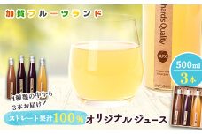 オリジナルジュース　500ml×3本 F6P-1813 クラウドファンディング 実施中 GCF