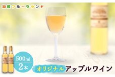 オリジナルアップルワイン　500ml×2本 F6P-1817 クラウドファンディング 実施中 GCF