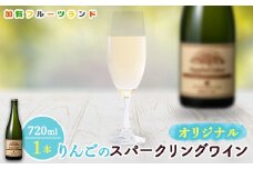 オリジナルりんごのスパークリングワイン　750ml×1本 F6P-1818 クラウドファンディング 実施中 GCF